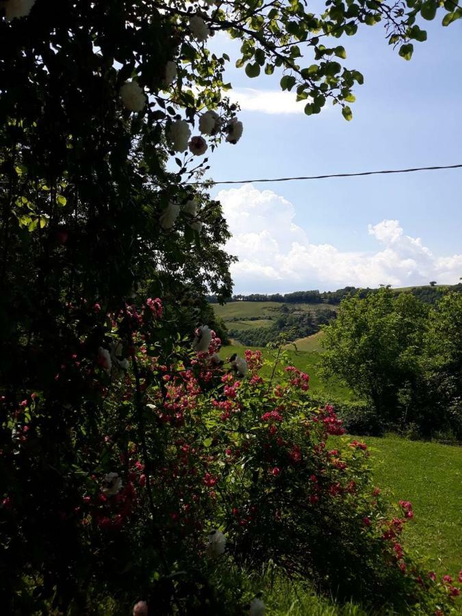 B&B I Canonici Urbino Buitenkant foto